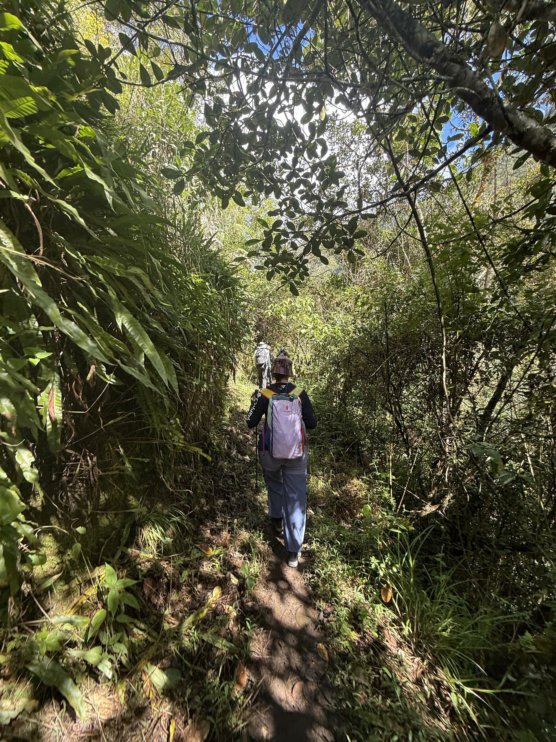 Trail