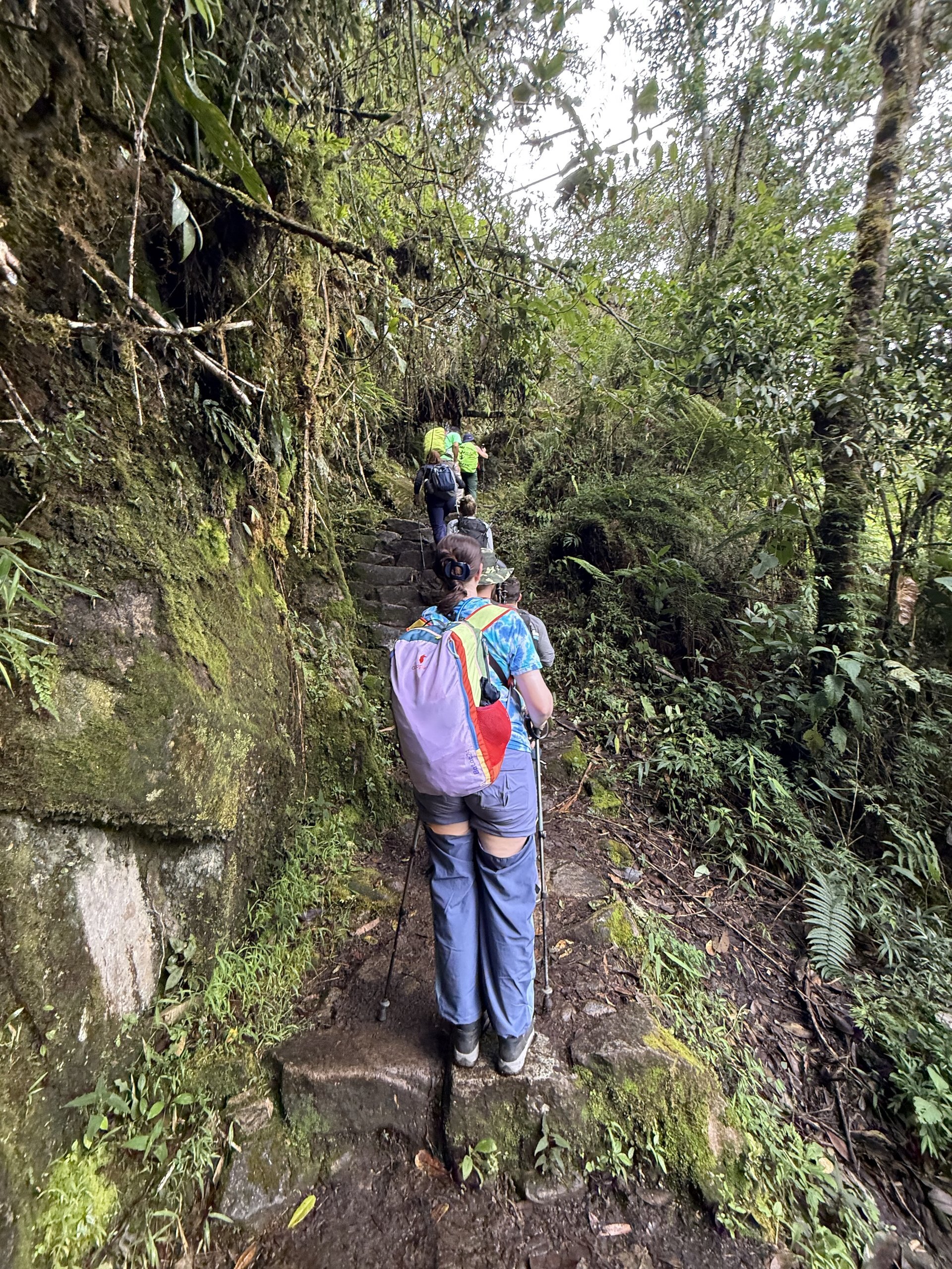 More Trail