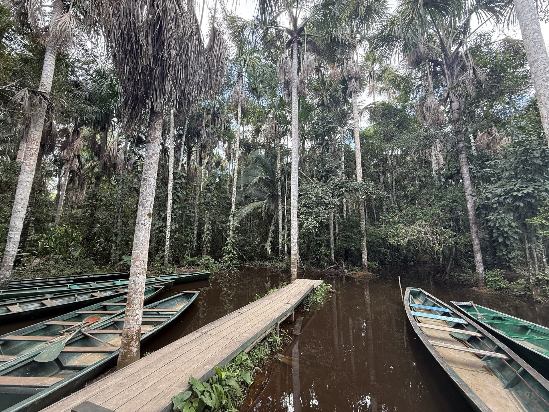 Our row boat
