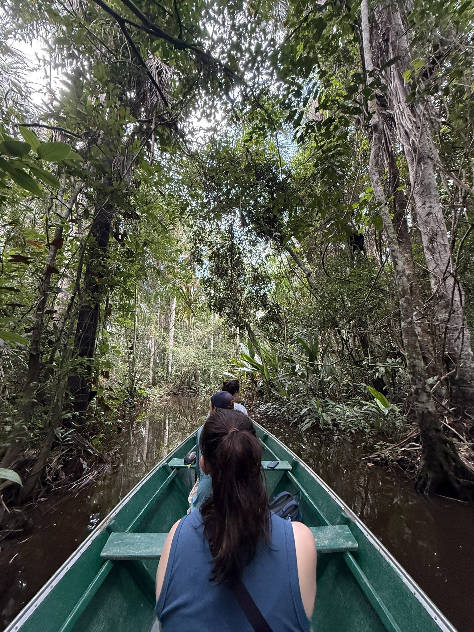Swamp Boating